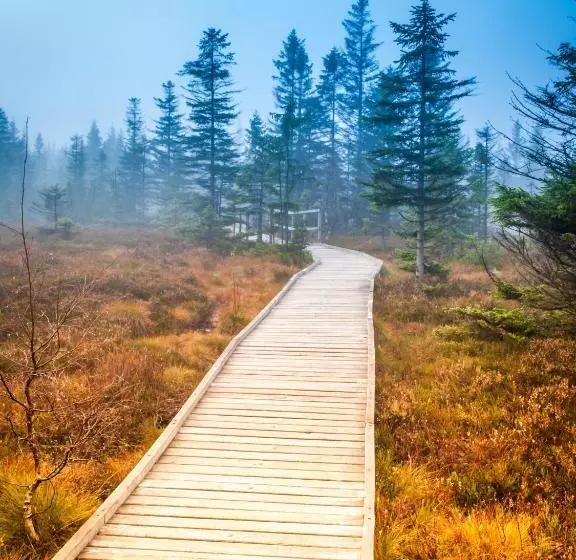 Apartmány Volf   Boží Dar