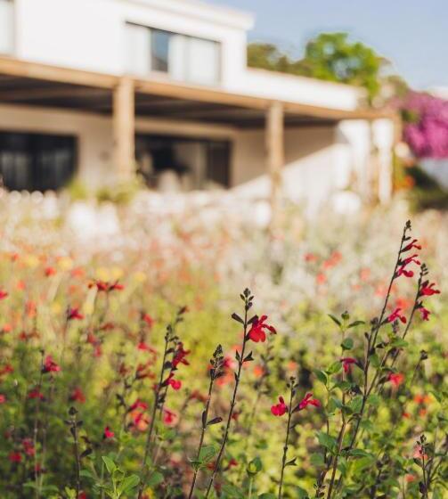 בית מלון כפרי Casa Paradisu