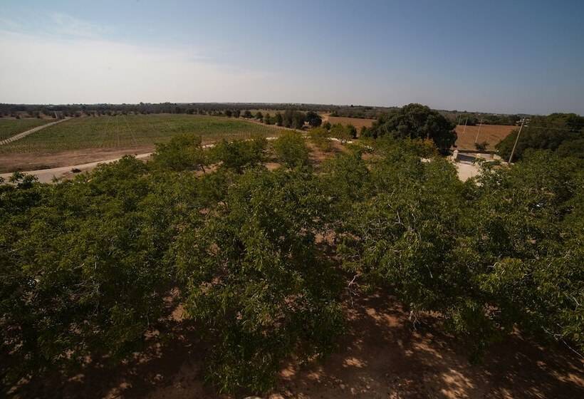 فندق Masseria Lilei