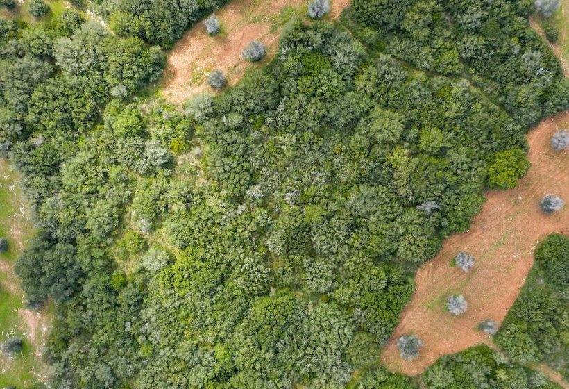 فندق Masseria Lilei