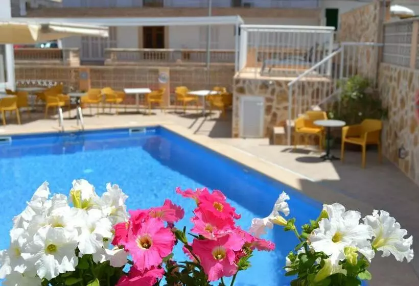 Otel Vista Sol
