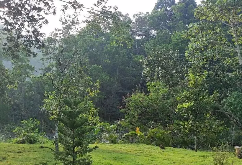 پانسیون Lechuza River Campingcamping House