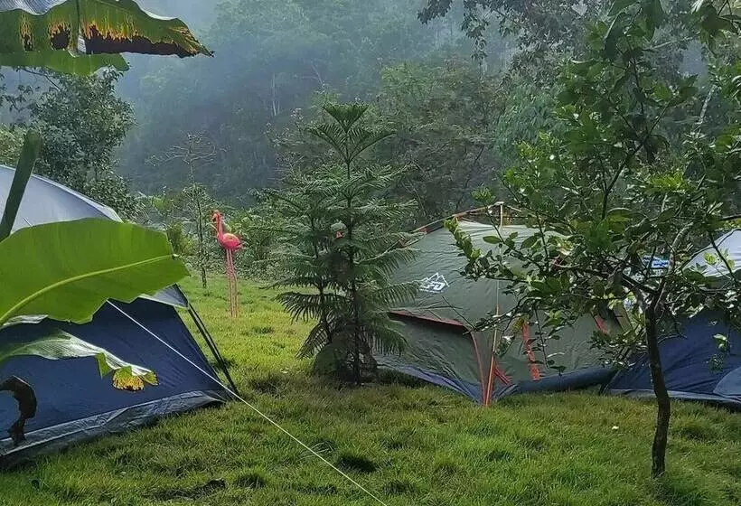پانسیون Lechuza River Campingcamping House