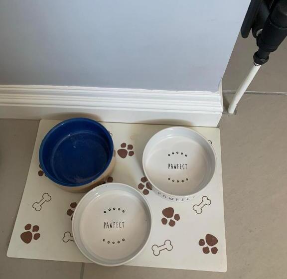 Serenity By The Sea   Broadstairs