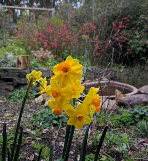 Sunset Hues Enjoy Peace & Nature