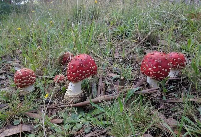 Sunset Hues  Enjoy Peace & Nature