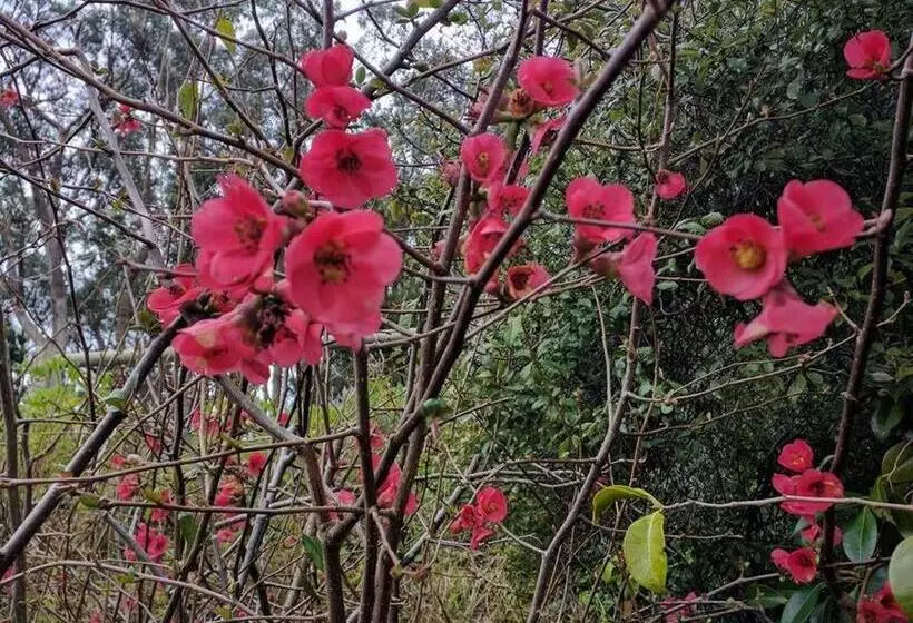 Sunset Hues  Enjoy Peace & Nature