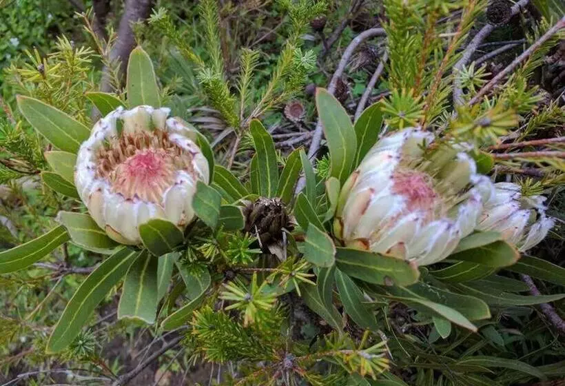 Sunset Hues  Enjoy Peace & Nature