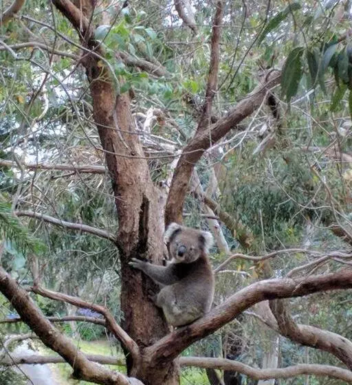 Sunset Hues  Enjoy Peace & Nature