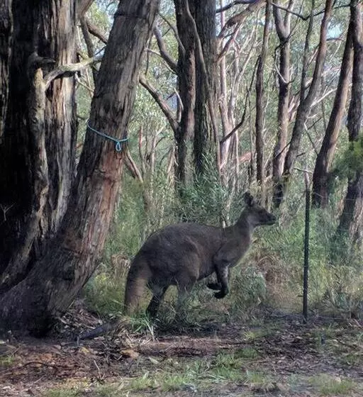 Sunset Hues  Enjoy Peace & Nature