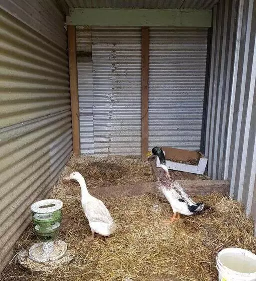 Sunset Hues  Enjoy Peace & Nature