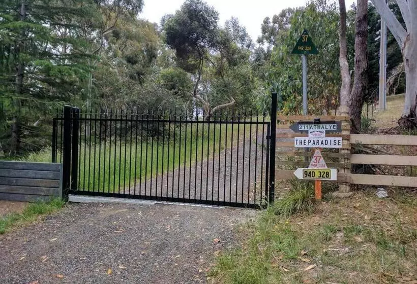 Sunset Hues  Enjoy Peace & Nature