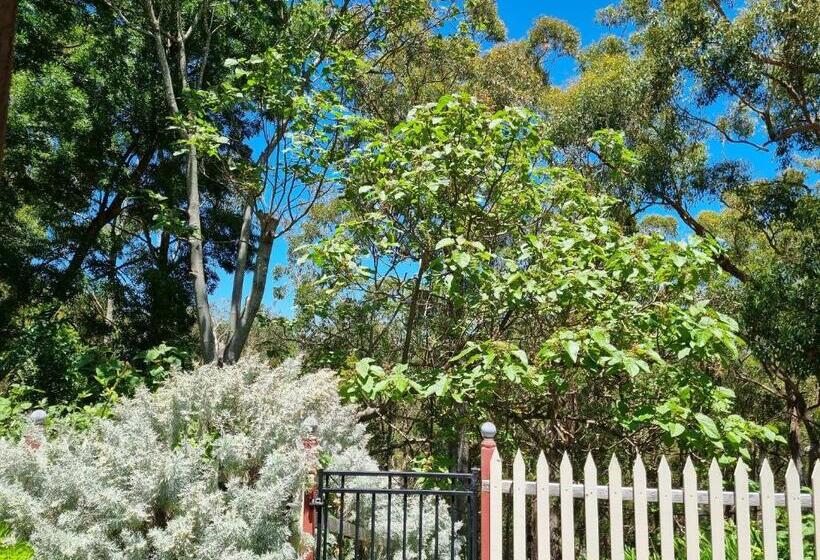 Sunset Hues Enjoy Peace & Nature