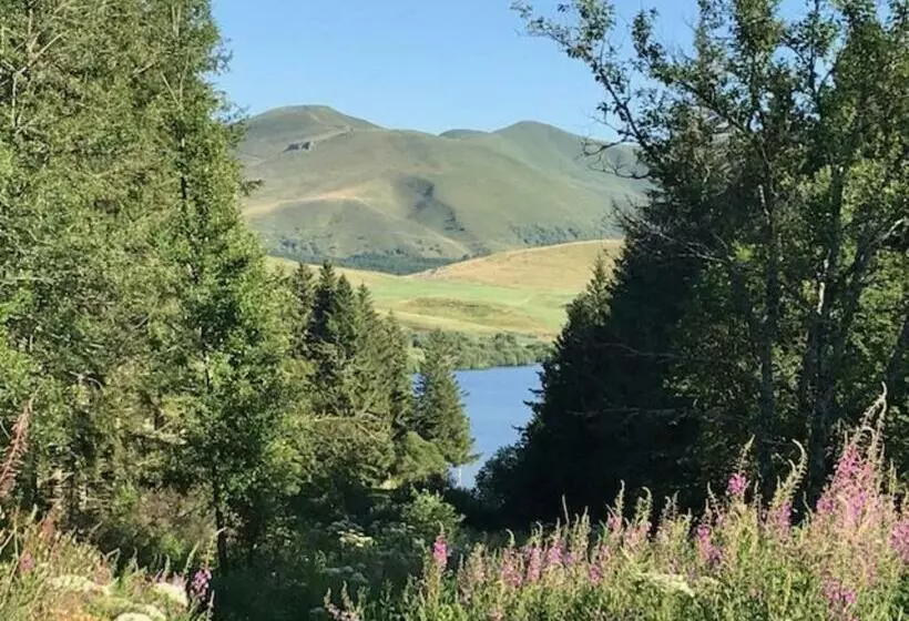 T2 Avec Balcon, Parking Privé, Proche Forêt, Mont Dore   Fr 1 608 212