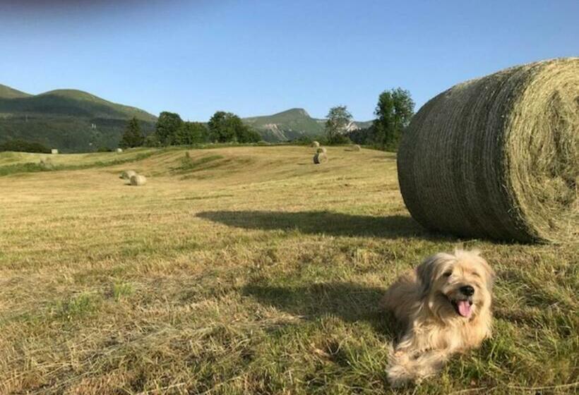 T2 Avec Balcon, Parking Privé, Proche Forêt, Mont Dore   Fr 1 608 212