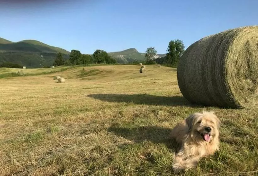 T2 Avec Balcon, Parking Privé, Proche Forêt, Mont Dore   Fr 1 608 212