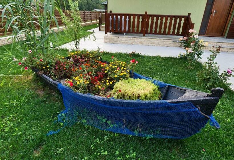 Отель Agropensiunea Acasa La Matei
