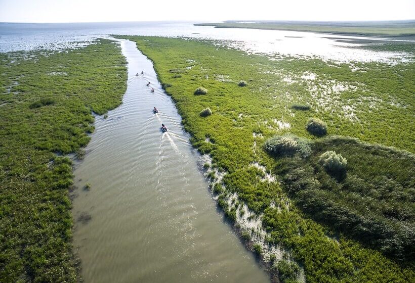 Пансион Bobocel Villa