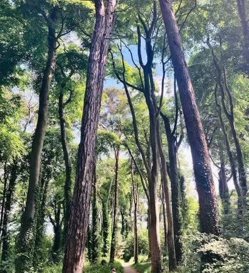 The Studio  Designer, Seaside Cottage