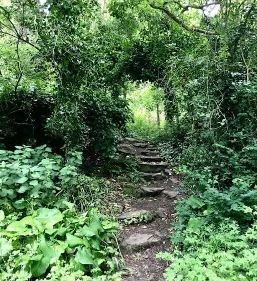 The Studio  Designer, Seaside Cottage