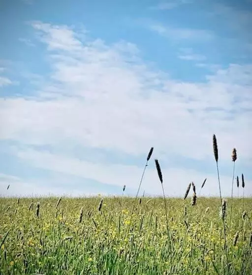 The Studio  Designer, Seaside Cottage