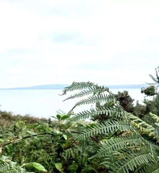 The Studio  Designer, Seaside Cottage