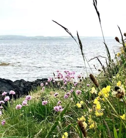 The Studio  Designer, Seaside Cottage