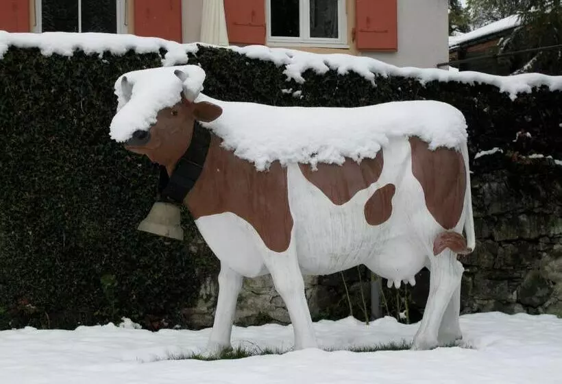 Historic Hotel Du Pillon