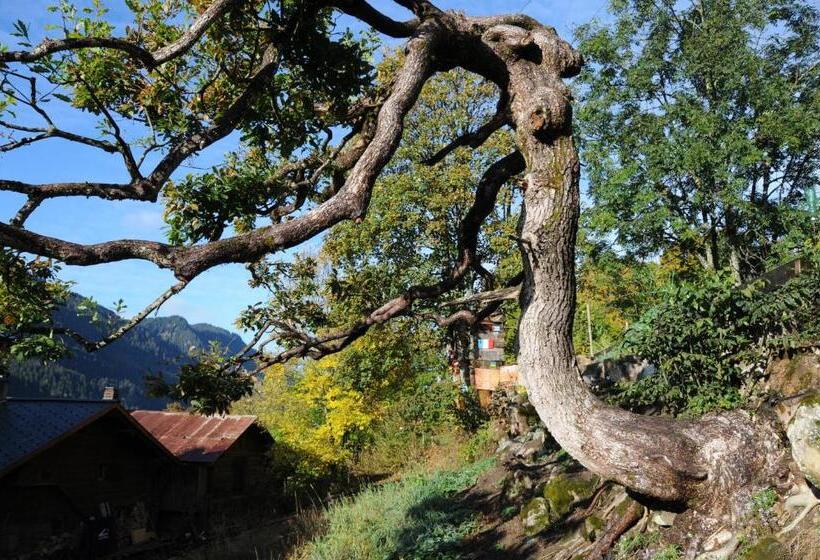 Historic Hotel Du Pillon