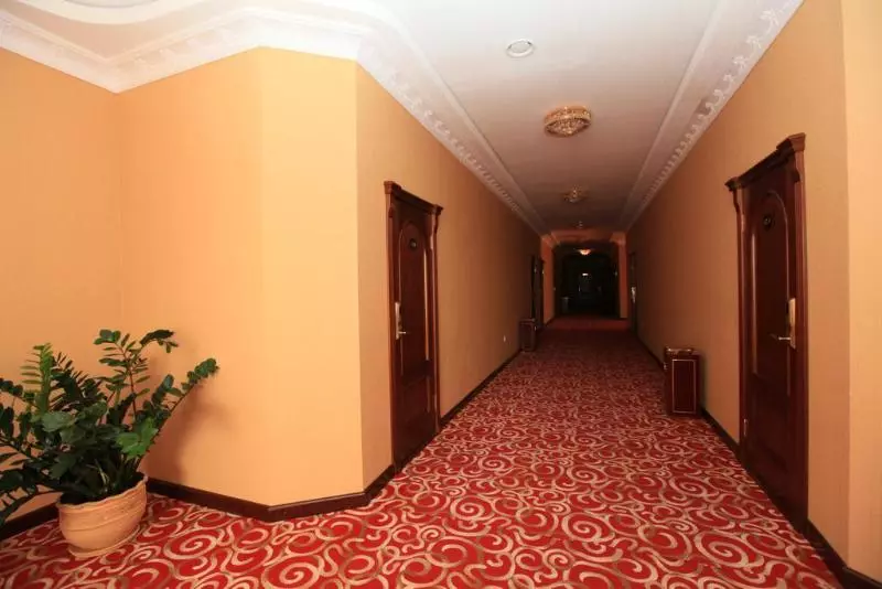 Отель Arena City