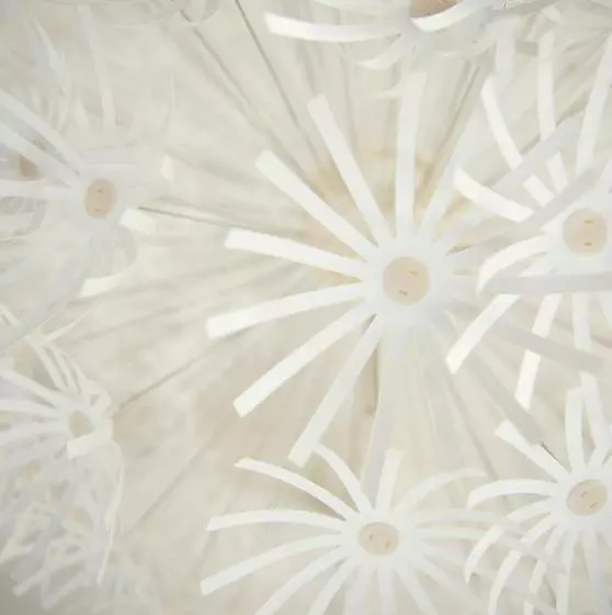 فندق Bed En Brood   Veere