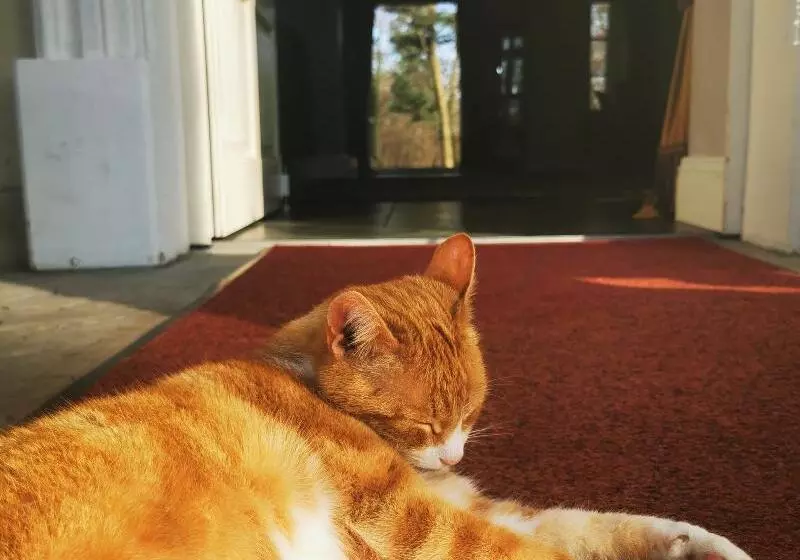 ホテル Dwor Sierakow