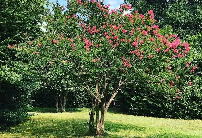 酒店 Foresteria Del Castello