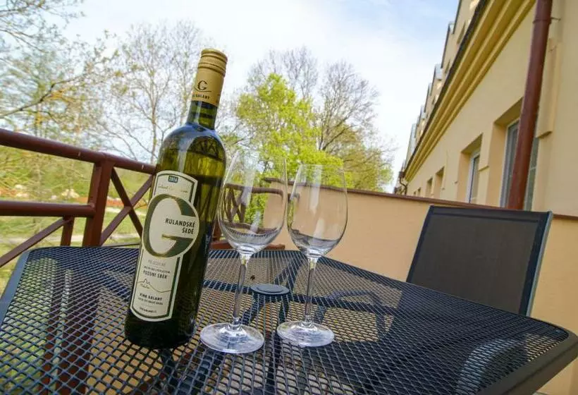 هتل Galant Lednice