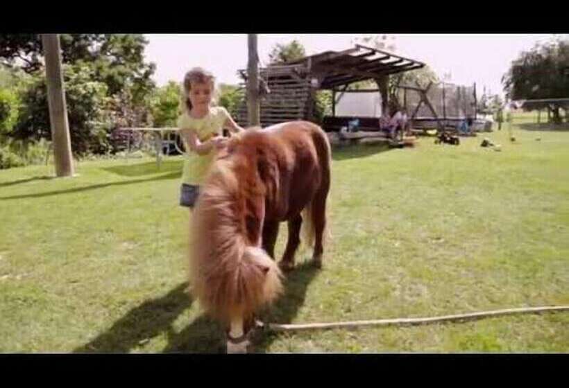 فندق Kerndlerhof