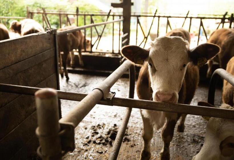 فندق Kerndlerhof