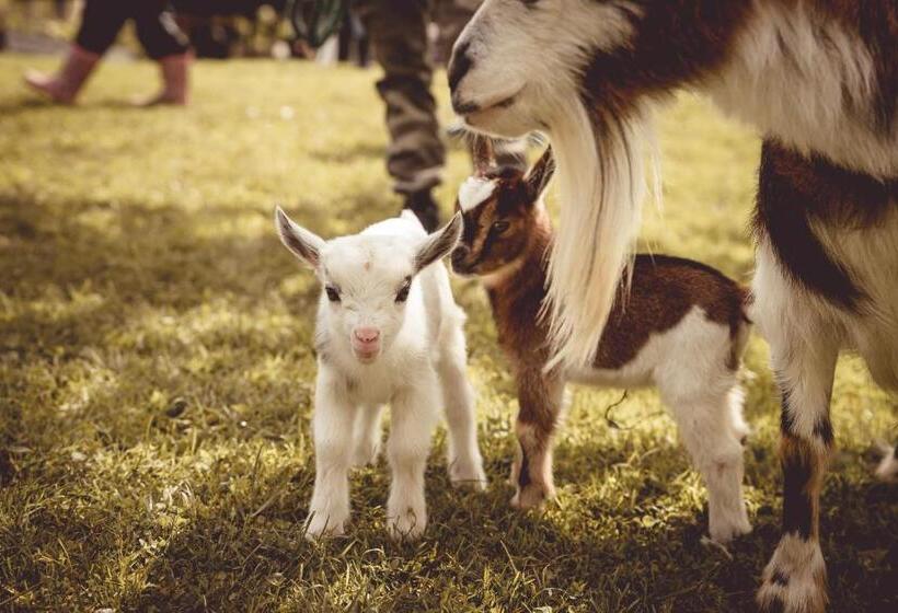 فندق Kerndlerhof