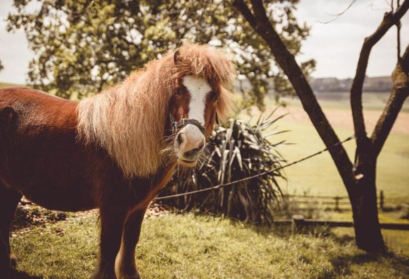 فندق Kerndlerhof