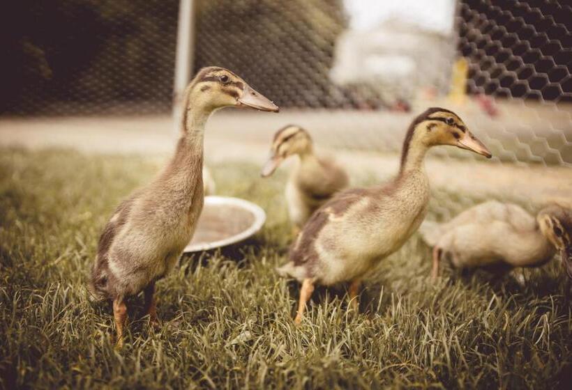 فندق Kerndlerhof