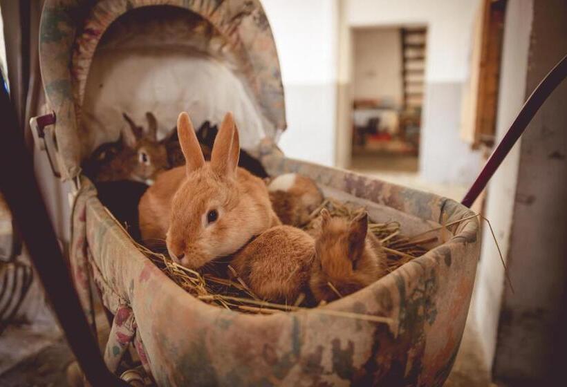 فندق Kerndlerhof