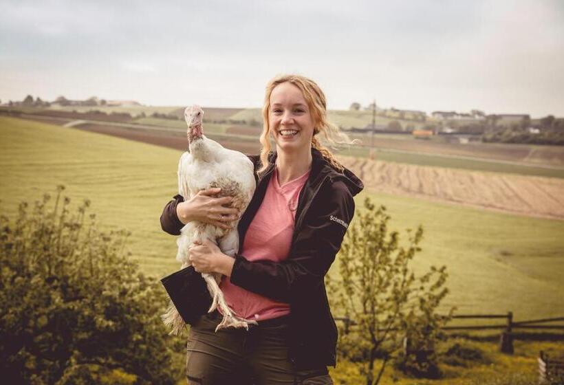 فندق Kerndlerhof