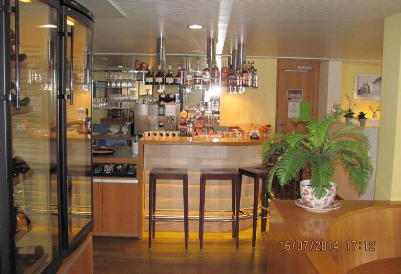 בית מלון כפרי Metzgern