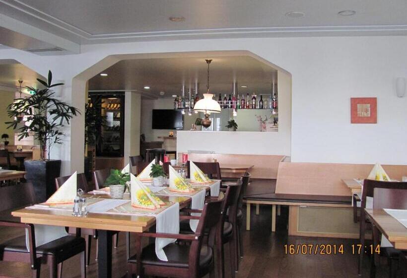 בית מלון כפרי Metzgern