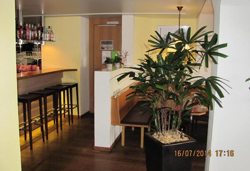 בית מלון כפרי Metzgern