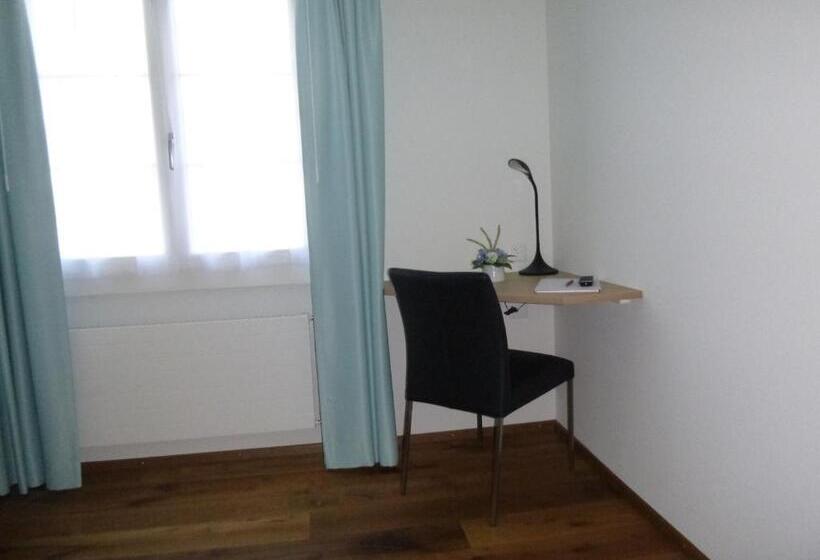 בית מלון כפרי Metzgern