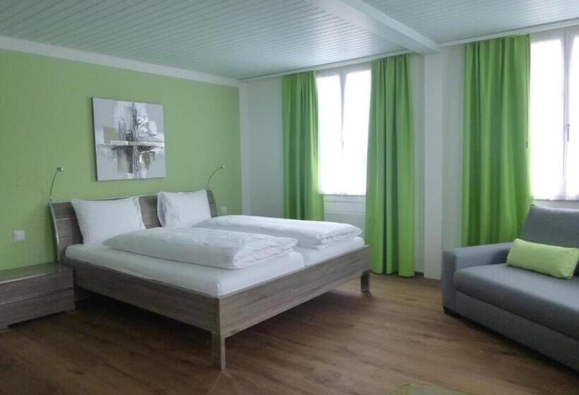 בית מלון כפרי Metzgern