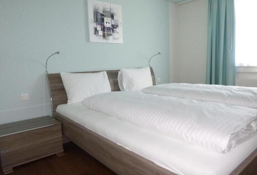 בית מלון כפרי Metzgern