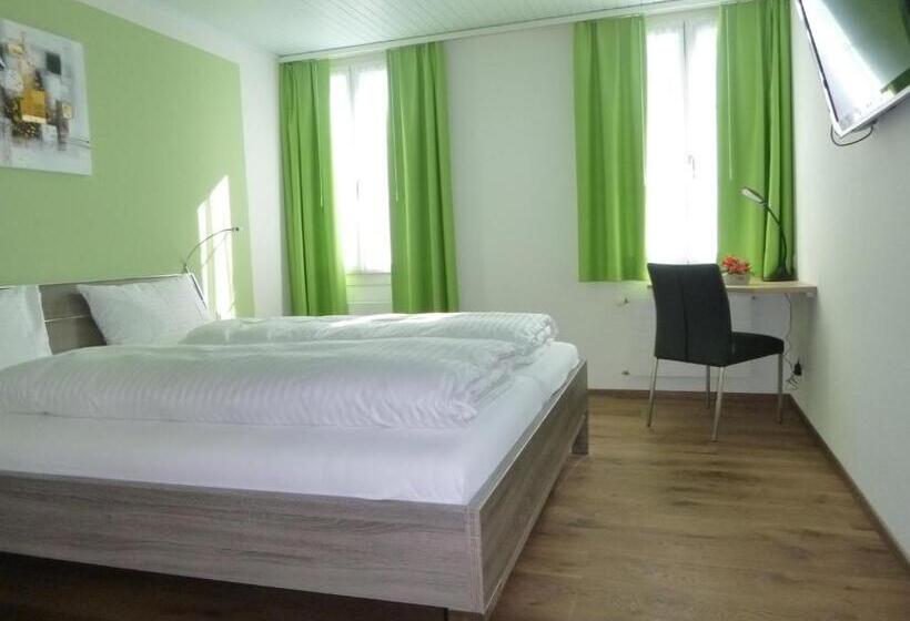 בית מלון כפרי Metzgern