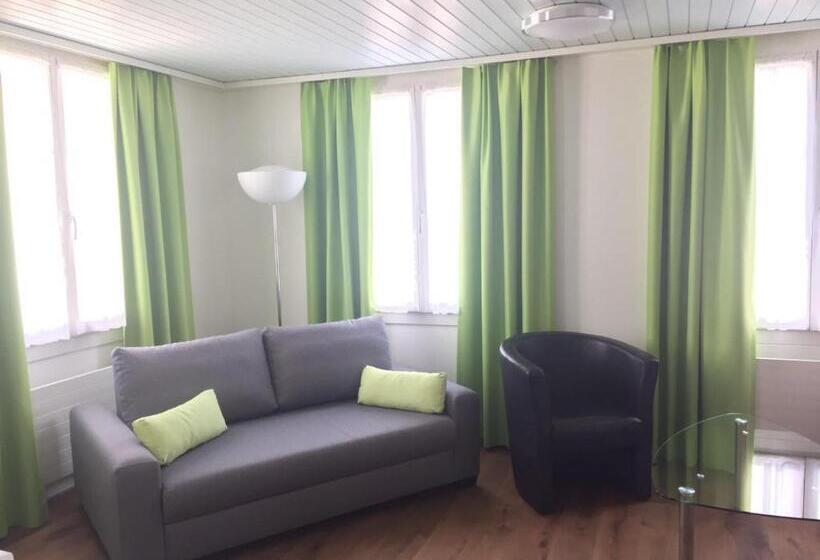 בית מלון כפרי Metzgern