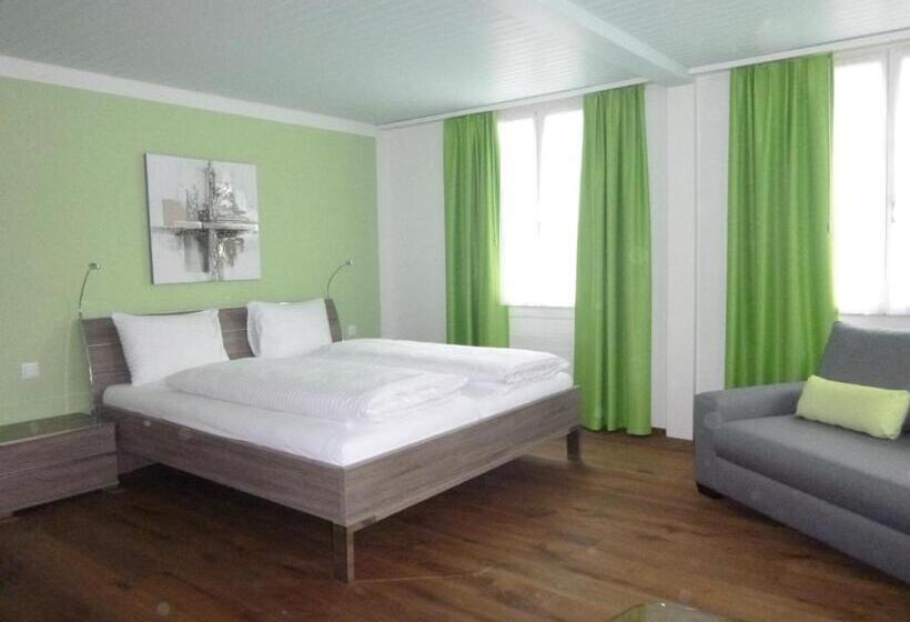 בית מלון כפרי Metzgern